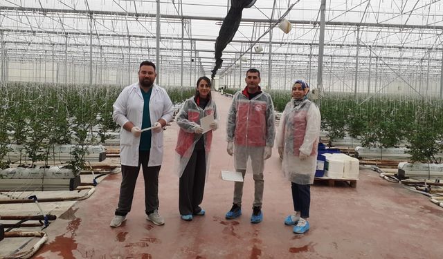 Kozaklı Seralarında Biyoteknik Mücadele Başlatıldı